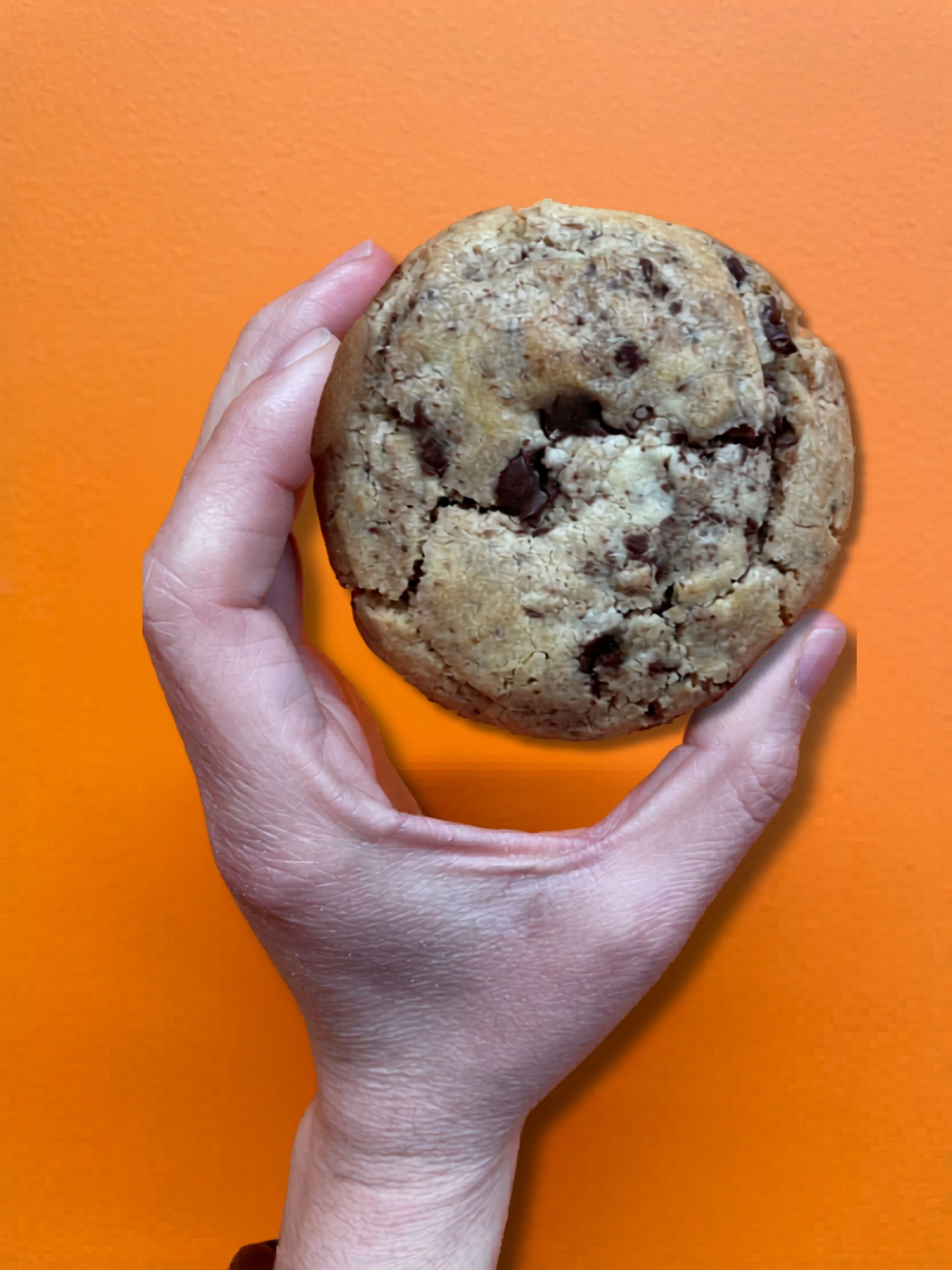 100% Homemade Dark Chocolate Chip Cookie