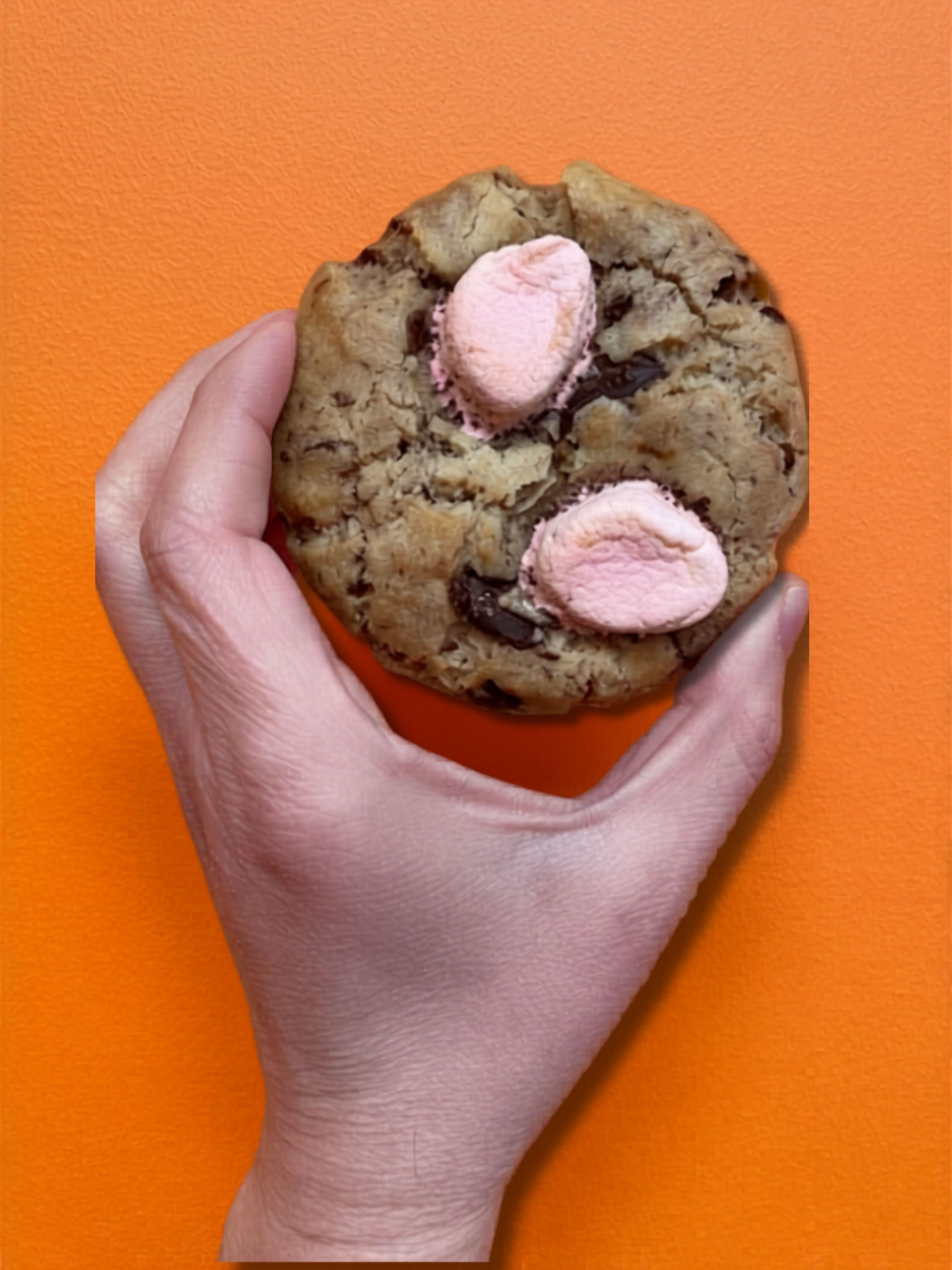 100% Homemade Marshmallow Chocolate Chip Cookie