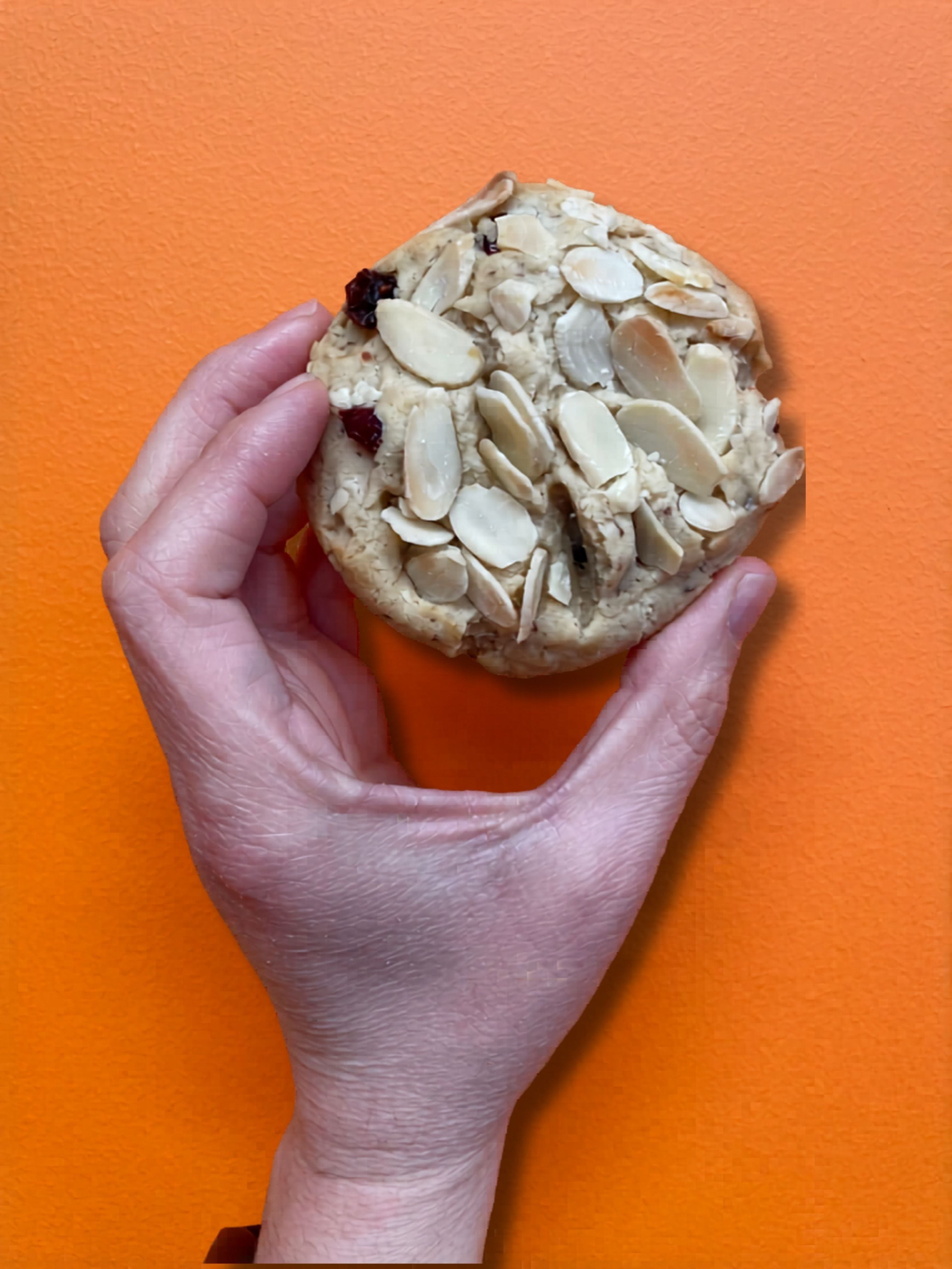 100% Homemade Almond and Cranberry Cookie