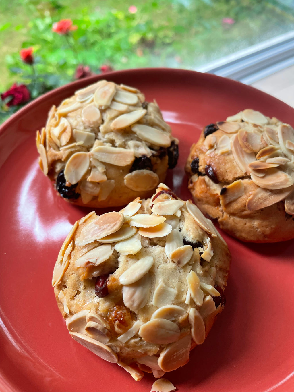 100% Homemade Almond and Cranberry Cookie